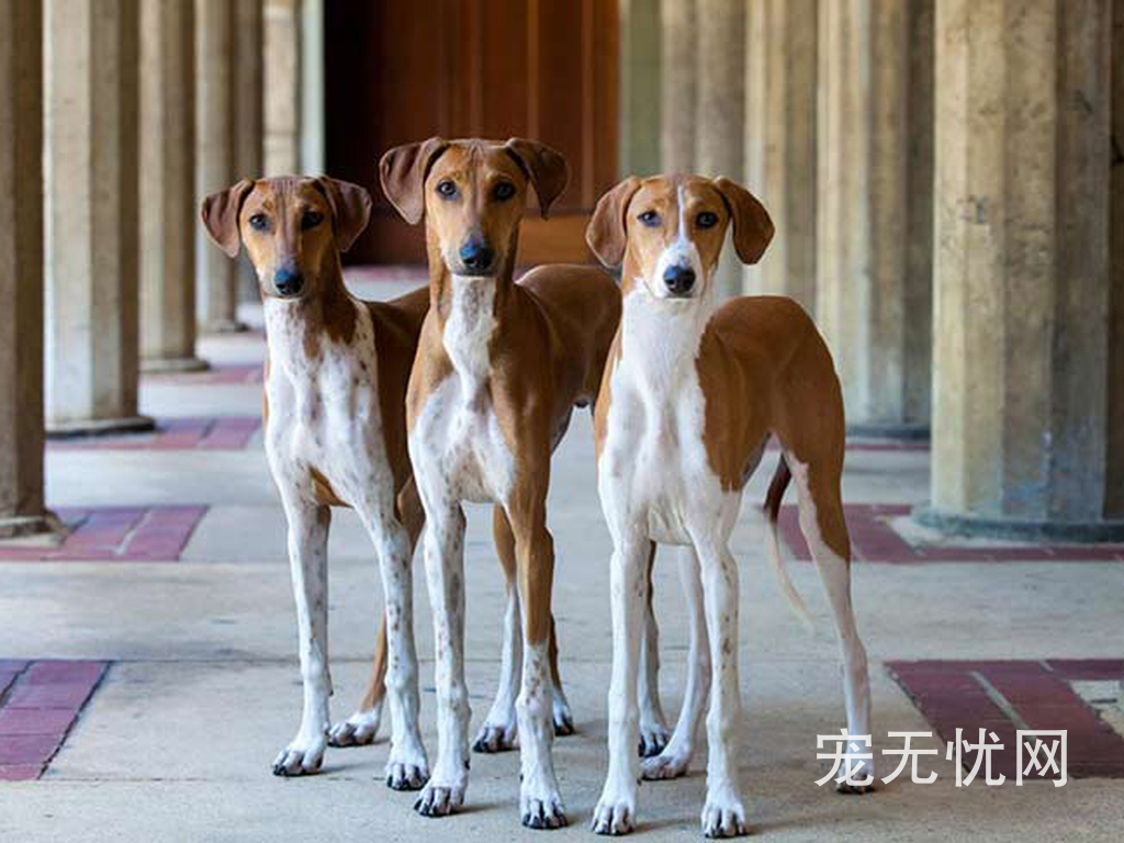 对方对方的