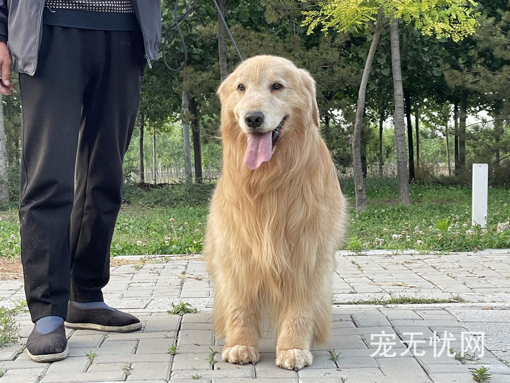 百度小程序测试狗发布